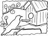 Colorare Uccelli Casetta Vogelhaus Disegni Ausmalbilder Birdhouse Vogelhuisje Dla Casette Domek Vogelhuis Feeder Maken Vögel Vogels sketch template