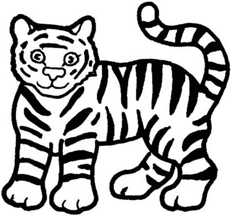 simple tiger drawing  getdrawings