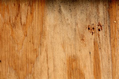 woodgrain texture  photo  freeimages