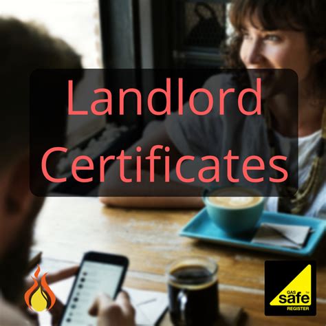 busy landlord