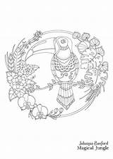 Basford Johanna Toucan Magical Coloriage Dessin Imprimer Postcards Colorier sketch template