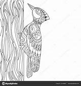 Woodpecker Lines Alexanderpokusay sketch template