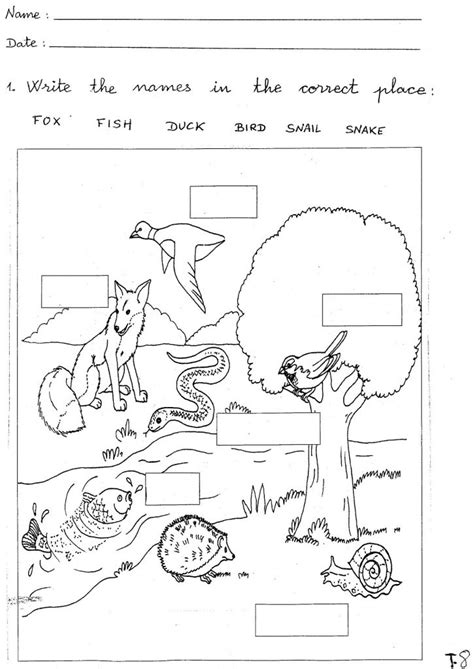 forest animals worksheets kindergarten amp