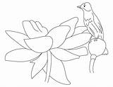 Coloring Lotus Pages Bud Sitting Bird sketch template