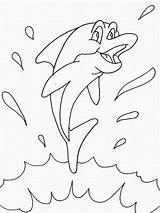 Dolfijn Leukekleurplaten Dolfijnen Kleur Leuke één Andere sketch template