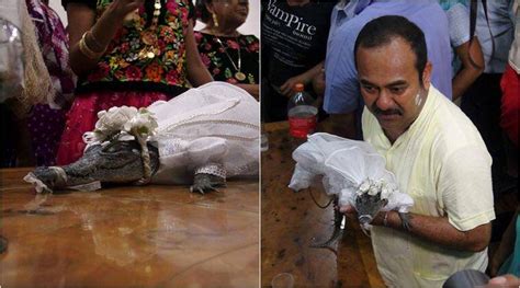 Mexican Mayor Marries A Crocodile And Even Seals The Wedding With A