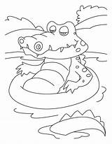 Coloring Crocodile Bath Tub Crocodiles Pages Animals Favorite Buaya Kids Drawing Oh sketch template