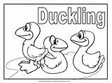 Coloring Pages Animal Duckling Fish sketch template