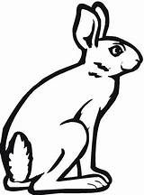 Hare Liebres Ausmalbilder Clipartmag sketch template