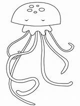 Jellyfish Marinhos Animais Marinho Cavalo Jelly Oceano Cavalos Medusa Peixes Gaddynippercrayons sketch template