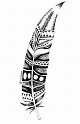 Dessin Plume Feather Maori Indien Tableau Choisir Un Tatouages Tatouage sketch template
