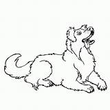Shepherd Australian Coloring Pages Dog Drawing Lineart Cattle Printable Color Line Popular Library Clip Getdrawings Coloringhome Print Deviantart Getcolorings Related sketch template