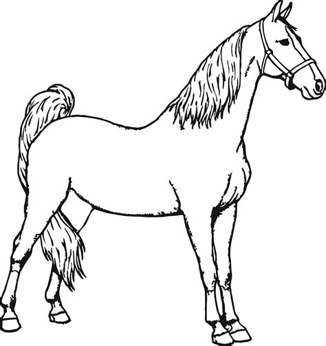 printable horse coloring pages  getcoloringscom