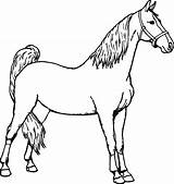 Horse Coloring Pages Printable Horses Color Print Sheets Getcolorings Spirit Getdrawings Miniature sketch template