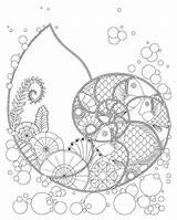 Coloring Pages Shell Ocean Mandala Fish Nautilus Fibonacci Plants Fantasy Etsy Getdrawings Adult Printable Pt Google sketch template
