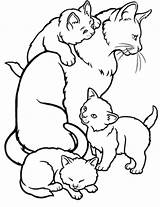 Cat Coloring Kittens Pages Mother Kitten Kids Drawing Clipart Colouring Printable Mommy Family Animal Color Sheets Cats Realistic Print Clip sketch template