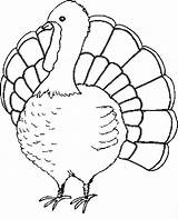 Turkey Coloring Pages Kids Printable Color Turkeys Thanksgiving Sheet Print Girls Templates sketch template