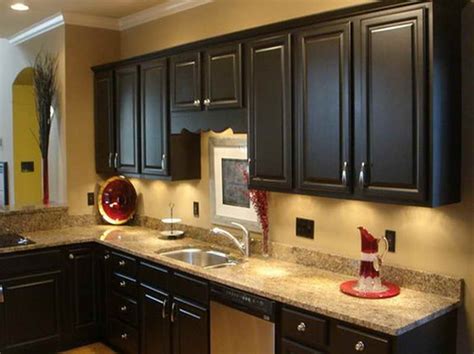 kind  paint    kitchen cabinets home furniture design