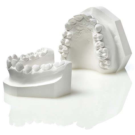 elite ortho kfo gips gips modellherstellung labor zhermack dental