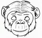 Orangutan Ausmalbilder Ausmalbild sketch template