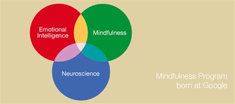 search   mindfulness program born  google