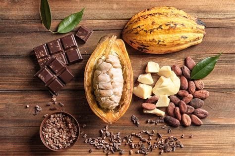 health benefits  cocoa