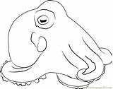 Coloring Marginatus Octopus Octopuses Coloringpages101 Pages sketch template