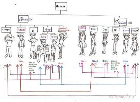 Thailand S Smorgasbord Of Sexualities In One Handy Diagram
