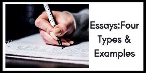 essay types  examples hubpages