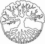 Tree Coloring Pages Roots Patterns Celtic Urban Threads Pattern Embroidery Designs Colouring Sheets Outline Branches Printable Drawing Paper Pagan Adult sketch template