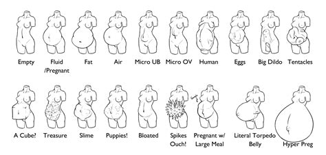 G4 Belly Chart By Maiesen