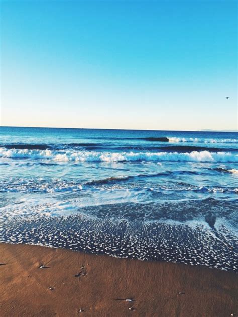california beach tumblr