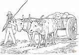 Coloring Pages Cart Ox Oxen Para Costa Carreta Rica Con Pulling Bueyes Colorear Dibujos Yoked Printable Imagen Supercoloring Agricultor Template sketch template