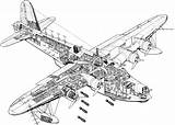 Sunderland Cutaway Bomber Intruder Grumman Conceptbunny Cicogna sketch template