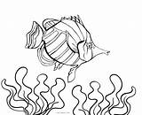 Fish Coloring Pages Realistic Aquarium Cool Printable Ocean Tank Getcolorings Getdrawings Drawing sketch template