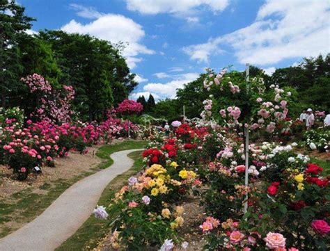 自社保有の「湧永満之記念庭園」の無料公開 地方創生プラットフォーム