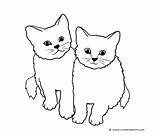 Cats Two Cat Coloring Pages Clipart Cute Kittens Little Kitty Clip Drawing Kids Drawings Cliparts Printable Animal Family Dog Library sketch template