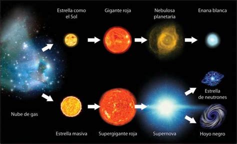el universo tipos de estrellas