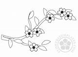 Cherry Blossom Branch Coloring Pages Spring Blossoms Templates Flowers Flowerstemplates sketch template