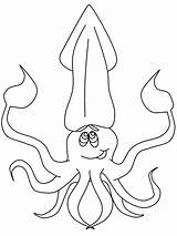 Tintenfisch Squid Ozean Ausmalbild Coloringmates Q1 Momjunction sketch template