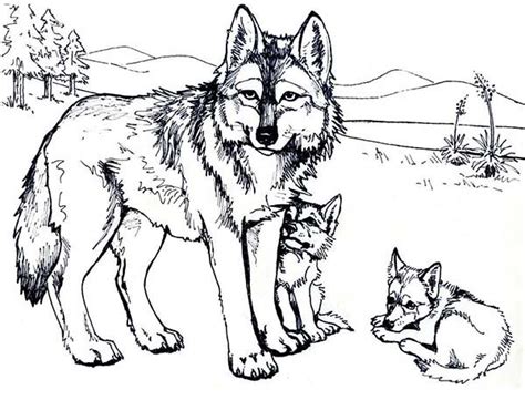 wolf mother   cubs coloring page  print