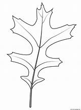 Oak Leaf Coloring Pages Printable sketch template