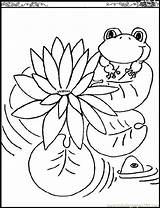 Coloring Lily Pages Monet Frogs Printable Kids Claude Water Pad Color Flowers Print Lilies Outline Flower Pads Children Clipart Drawing sketch template