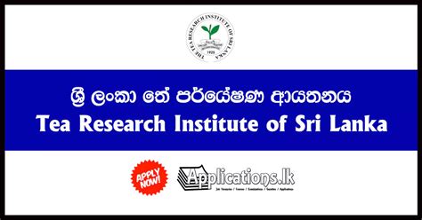 senior accountant tea research institute  sri lanka applicationslk