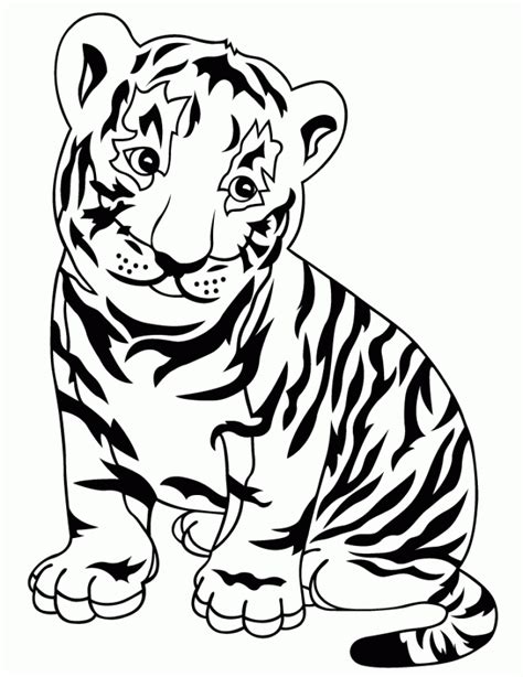 baby tiger coloring pages  kids