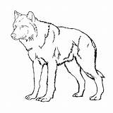 Wolf Coloring Pages Wolves Color Printable Cub Easy Anime Drawing Animal Pup Wild Realistic Cool Kids Print Pack Arctic Puppy sketch template