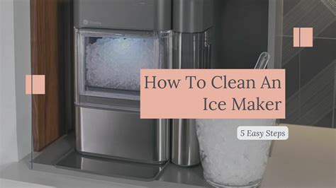 clean  ice maker  easy steps kitchenguidesorg