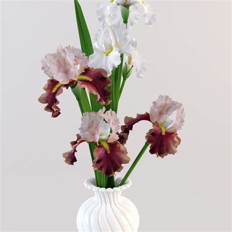 bouquet irises vase  model