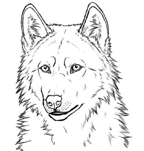 realistic wolf coloring pages kidsworksheetfun