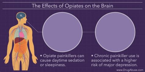 the effects of opiates on the body